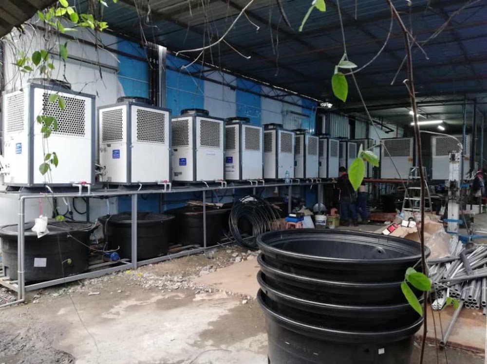 Enviro Air Cooler (M) Sdn Bhd | Cold Room Setup | One-Stop Cooling Solution for Industrial/Commercial | Building Structure